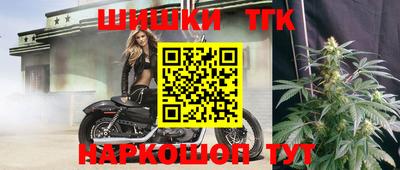 индика Мариинск
