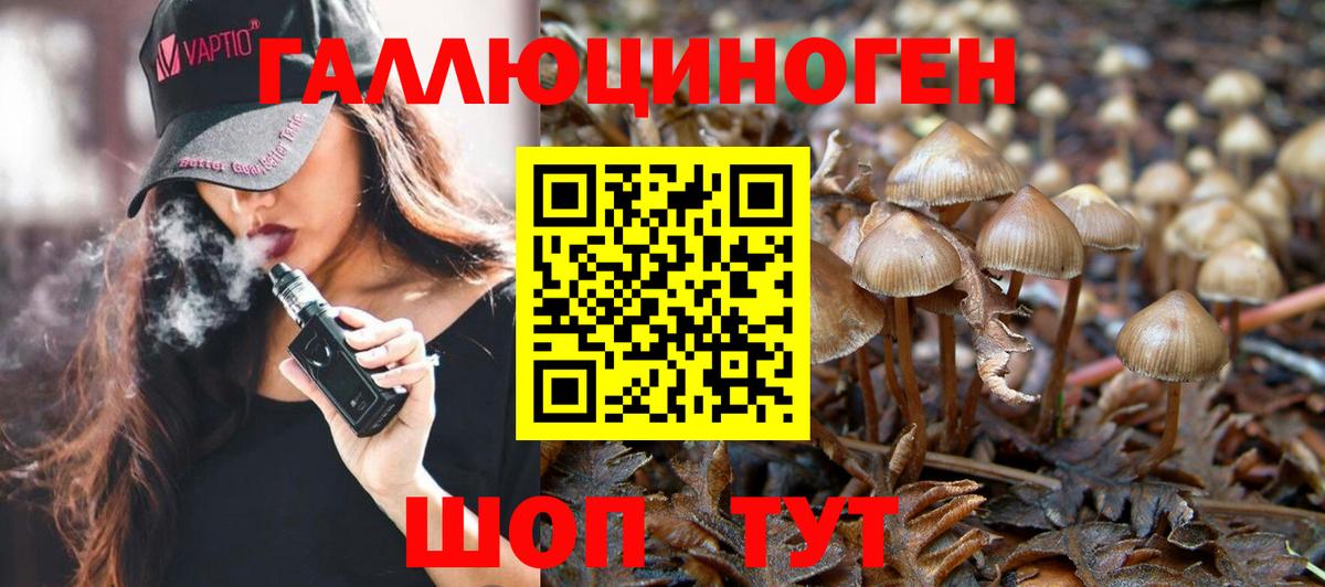Великие Луки  Галлюциногенные грибы Magic Shrooms  Вход с VPN 